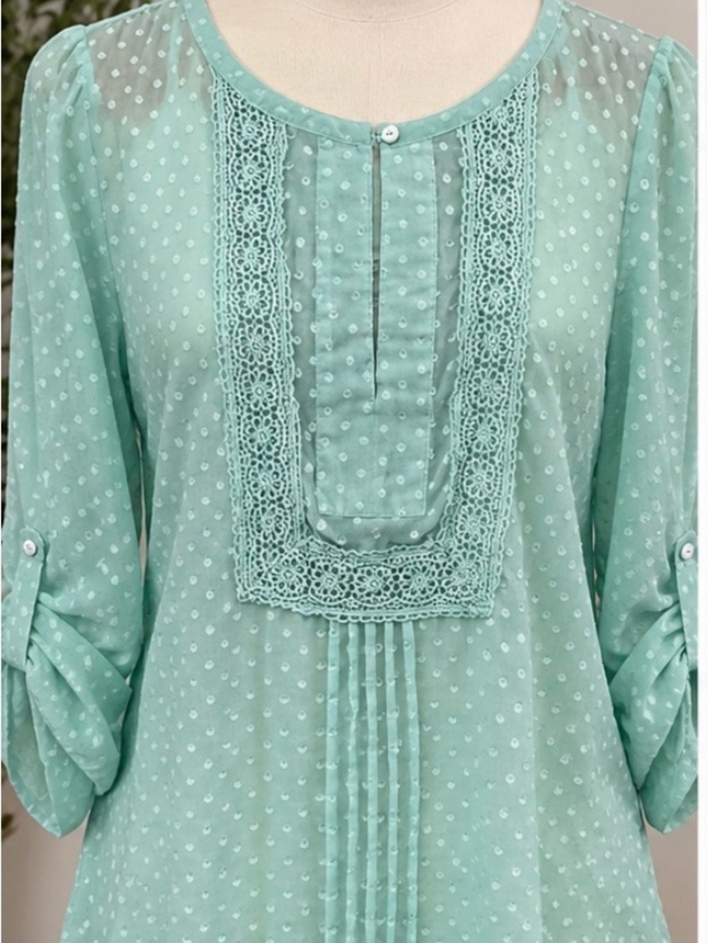 Daniel Rainn Mint Green Swiss Dot Lace-Trim Blouse
